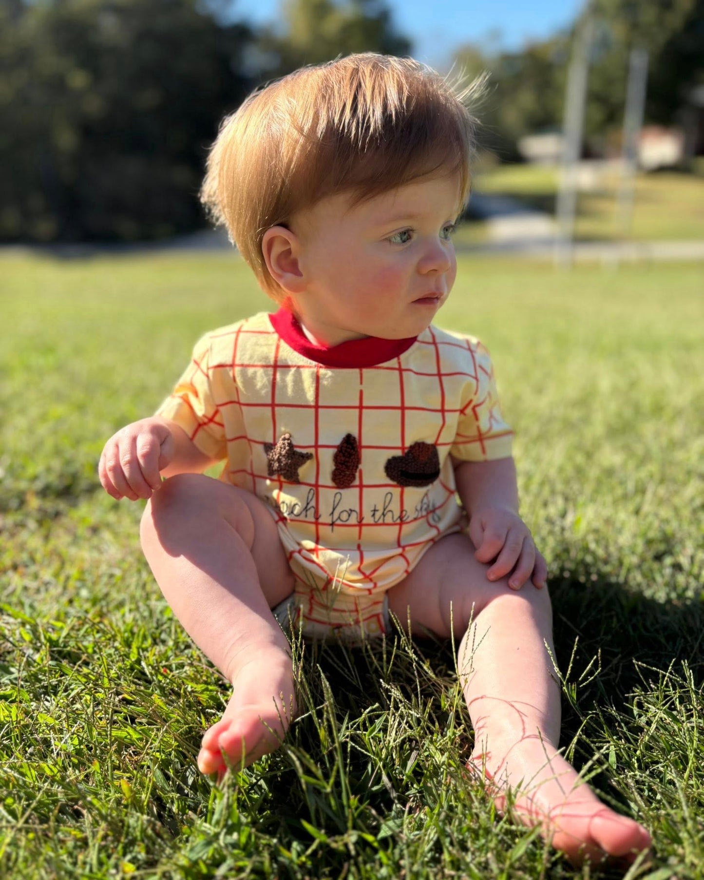 REACH FOR THE SKY BUBBLE