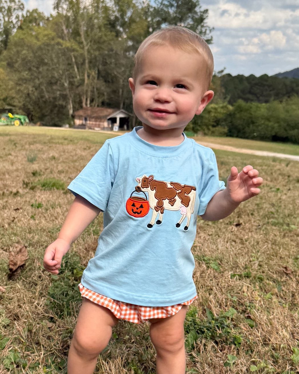 BOY HALLOWEEN TEES COW SHIRT