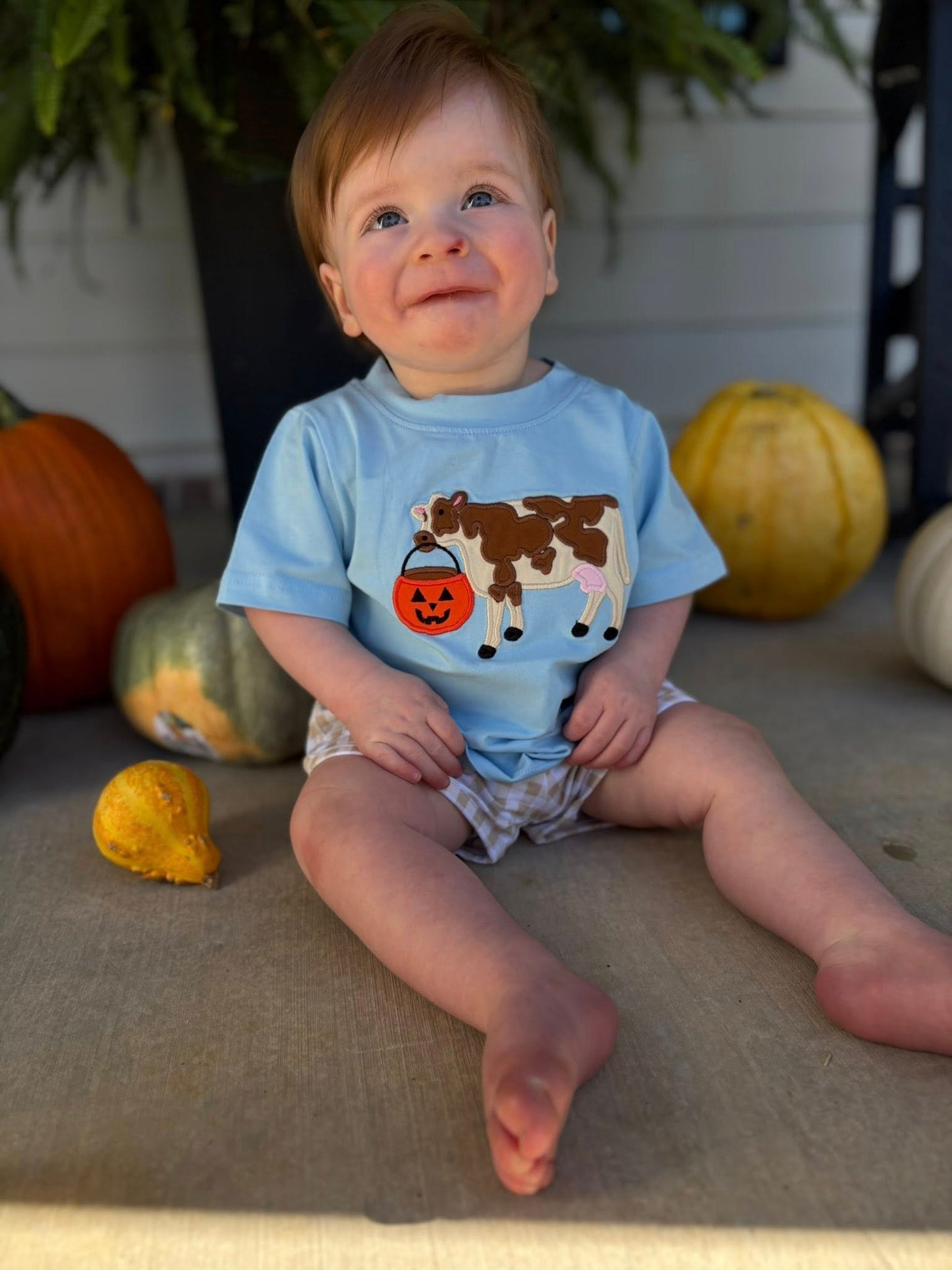 BOY HALLOWEEN TEES COW SHIRT
