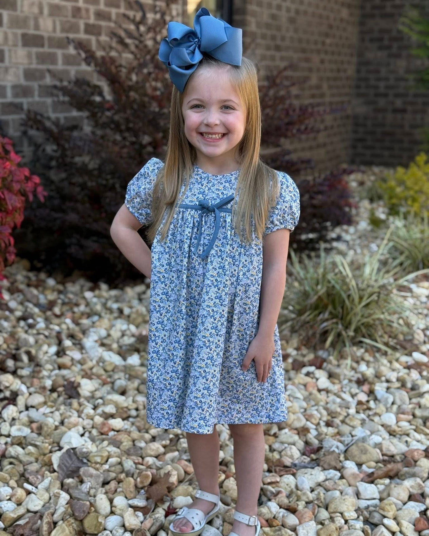 ADDIE FALL DRESS