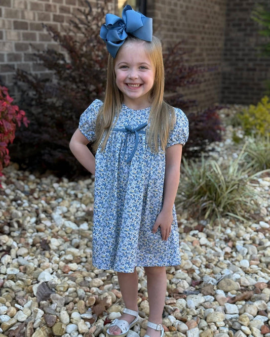 ADDIE FALL DRESS