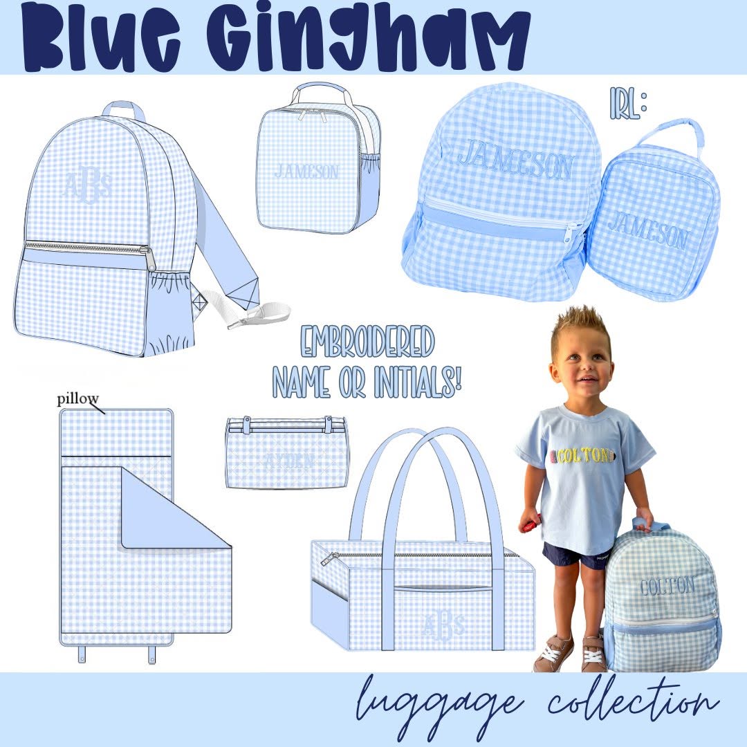 BLUE GINGHAM LUGGAGE