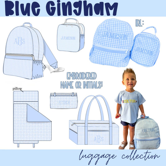 WS PO85: Blue Gingham Luggage